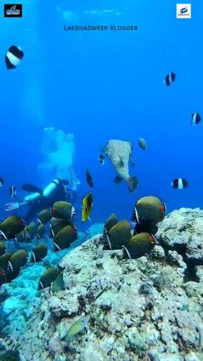 Messi fans flexing... |📍 Kavaratti, Lakshadweep Islands, India
