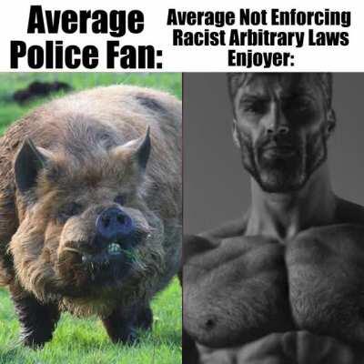 Remember kids: it costs 0$ to not enforce systemic racism, but the cops do it because they want a pension, or whatever.