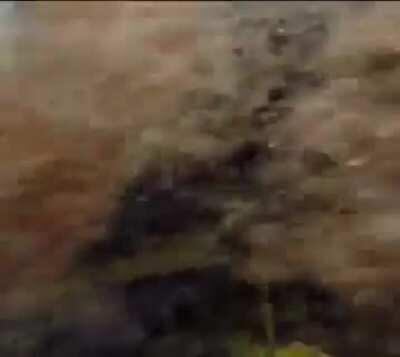 Taking a dip while parasailing