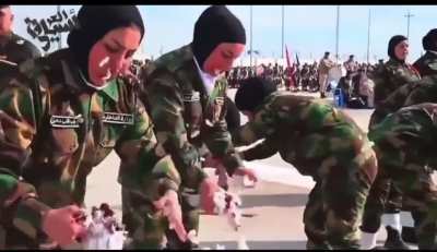 Leaked footage of Iranian air defenses