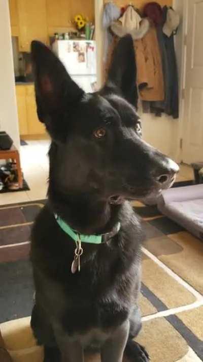 I just wanted to share this with all of you. She is such a good girl.