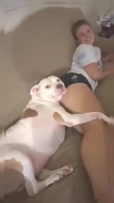 И что? Имею право!