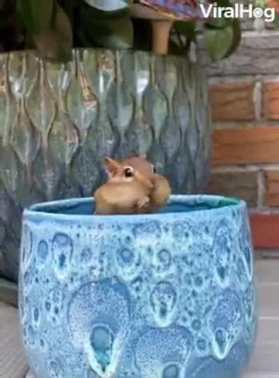 Yo cuando voy a robarme la comida al refri