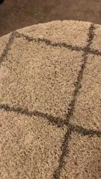 cursed_rug