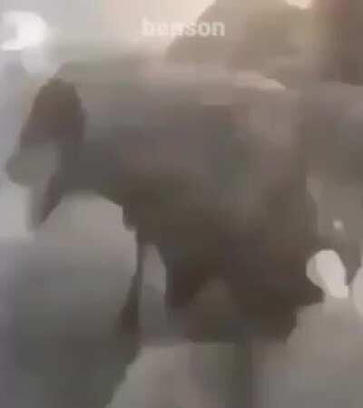 Guys this is how lolis shower its awesome