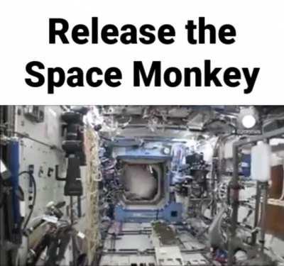 Space Monkey!!!!