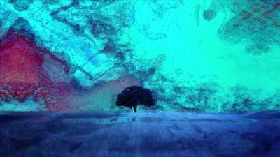 Depth Perception Distortions