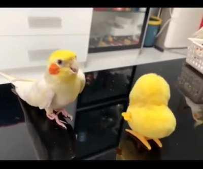 getting jiggy with it