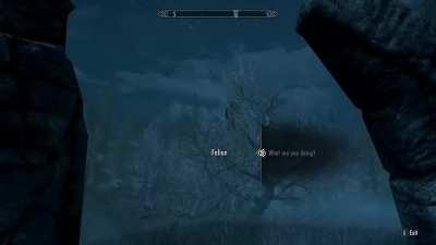 Look closely, man's got carried away by a mf Dragonfly...