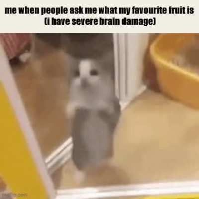 People with brain damage are the real heroes in the end arent they? At the end of the day. Brave.