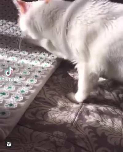 This is about as erratic as it gets