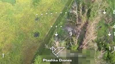 The FPV drone of Ptashka Systems operators shot down a Russian FPV drone using networks from net gun. May 2025.
