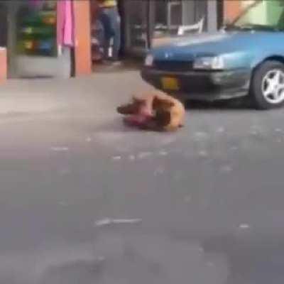 A scorpion straight to hell