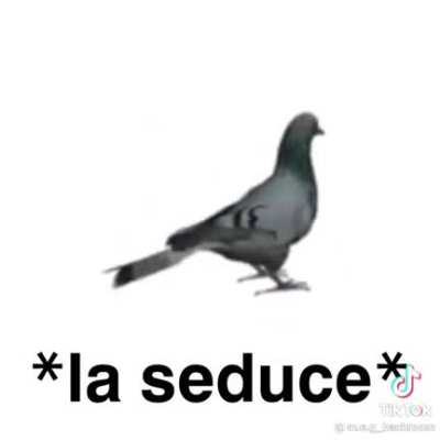 *la seduce*