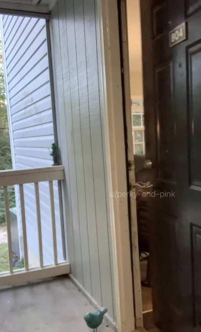 Sorry I was late to your place, my clothes kept disappearing!