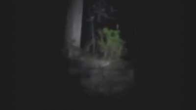 Bigfoot\Sasquatch || Something Creepy Watching Me From My Woods! (Uncut Original Video)