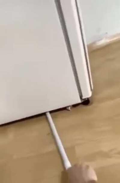 Just cleaning the fridge