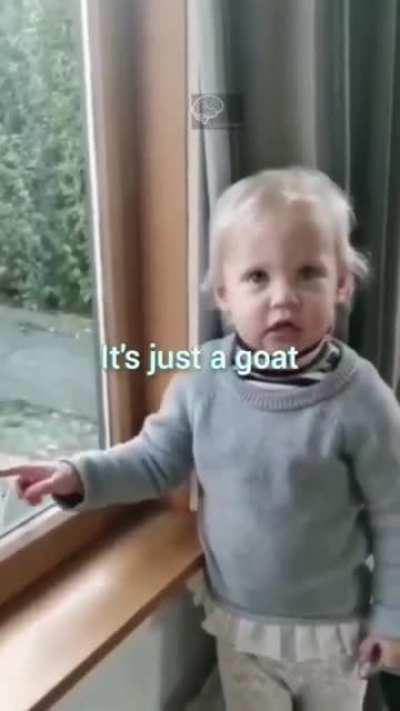 He knows a f*cking goat when he sees one.