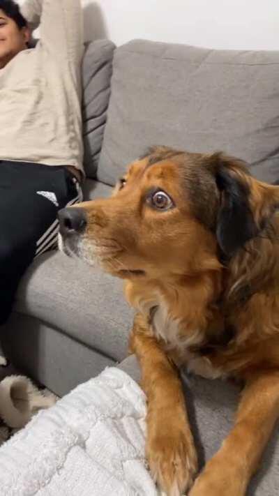 The squirrels... they were so quick we only saw their fur flashing in the bushes before we realised it was too late... and they only went for the nuts