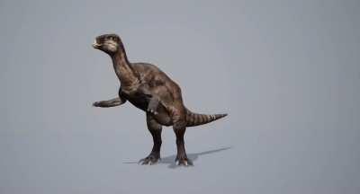 Camptosaurus.
