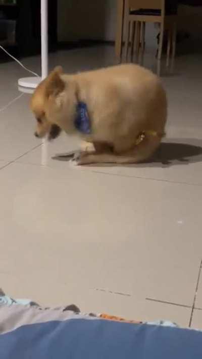 This is how he plays his toys