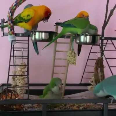 Just going snac wild in there!