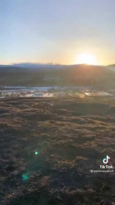 A unexpected friendship