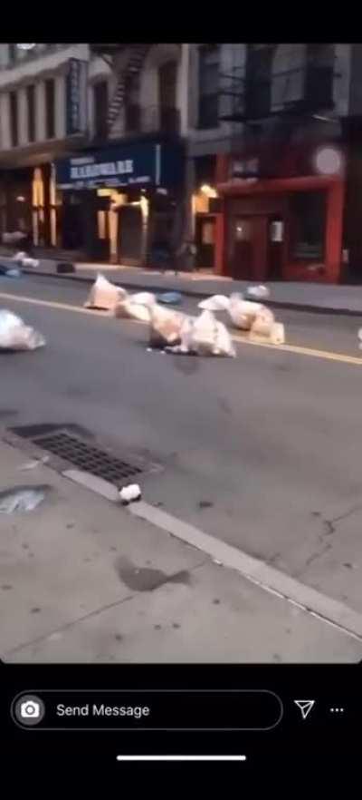 Todays protests in NYC