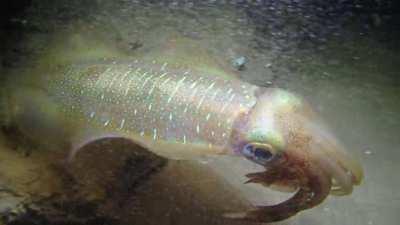 Felt like this belonged here