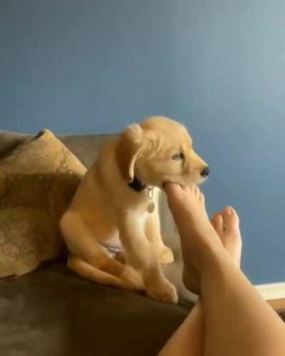 SiCk pUp EaTs iTs hUmAn AliVe