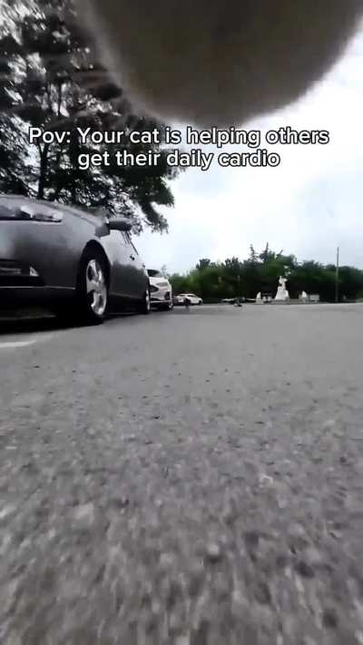 Wunkus is a personal cardio trainer