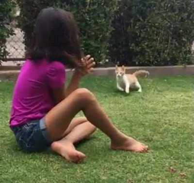 Young girl's final moments caught on tape!