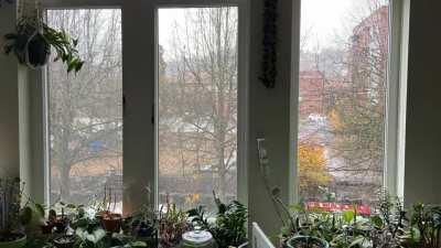 I’m so lucky working from home! Sound on for rainy sounds :)