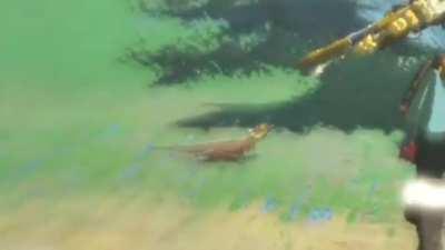 Every material is important.