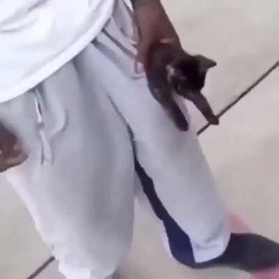 Some dudes getting excited about this kitty in his pocket