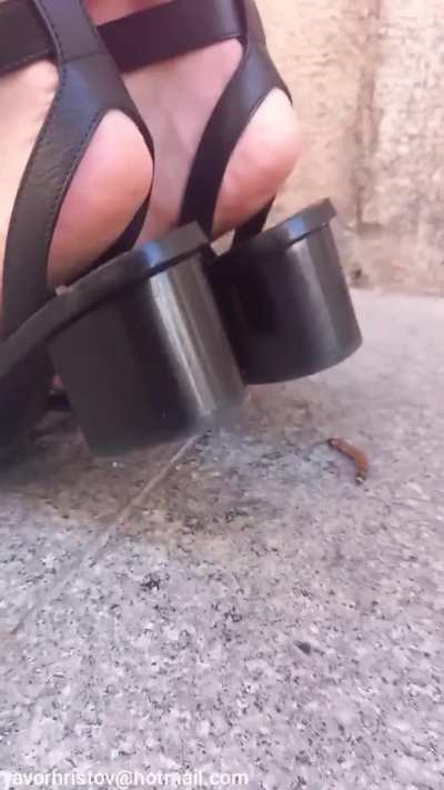 Woman unaware crush worm in the street