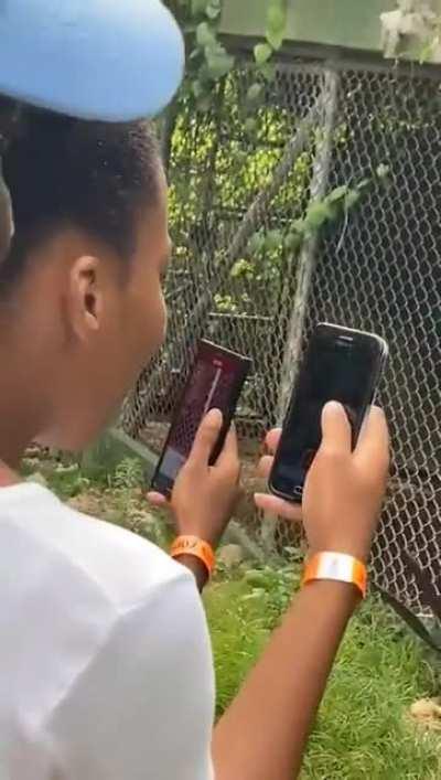 Man taunts lion and loses a finger