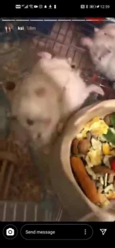 Neo vs Morpheus on the KSI v Jake Paul undercard