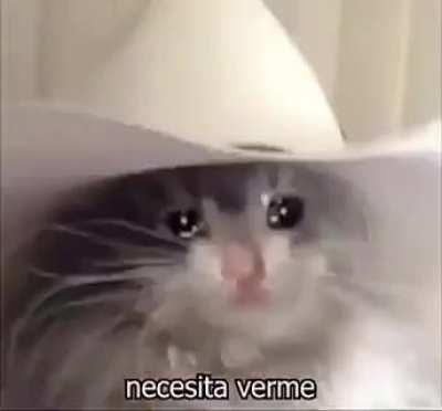 probablemente es repost 😔