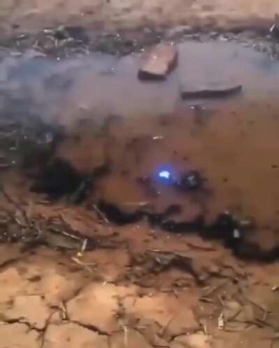 As a person in a state with a LOT of lakes and rivers, I’m adding these to my trip list