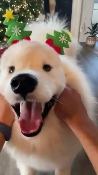 Feel the Christmas spirit