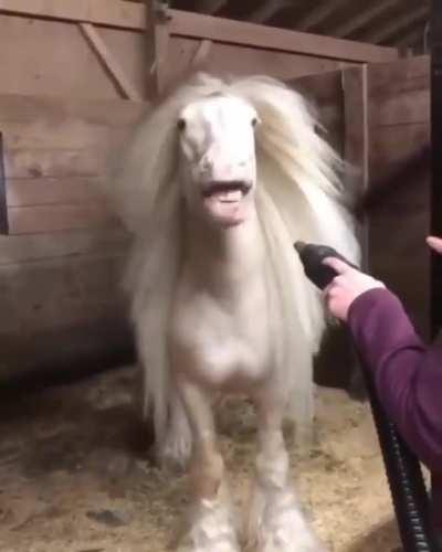Maybe she's born with it...maybe it's neighbelline.