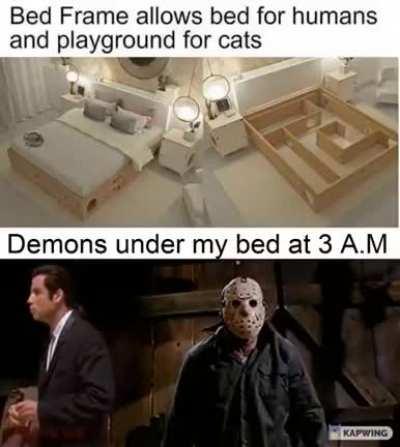 When the cat starts hiding dead animals in it.