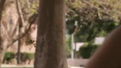 Sick and tired of your one sports bra? Then this old video from CollegeHumor might help!