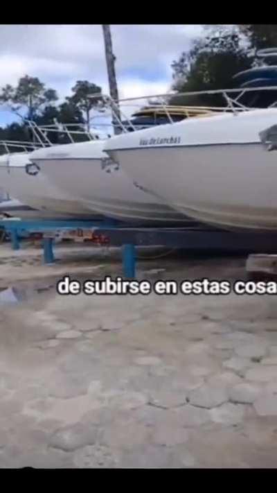 Whait Porque Beelce no los demanda por usar su logo Thio? 🤷🏿‍♂️