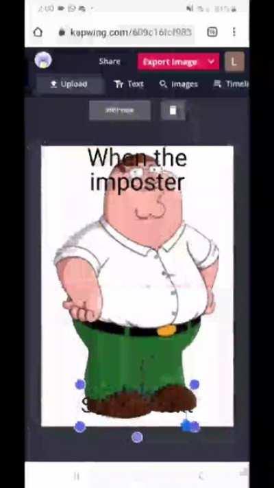 How to make a meme (%100 walkthrough)