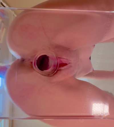 Fun video bouncing on my clear toy 🥰 link in the comments or my bio <3