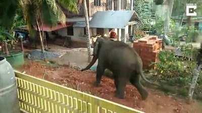 Not A Normal Day in India!