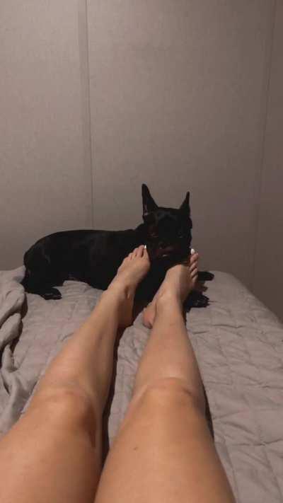 what would you have done in his place