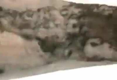 This was too good to not share..